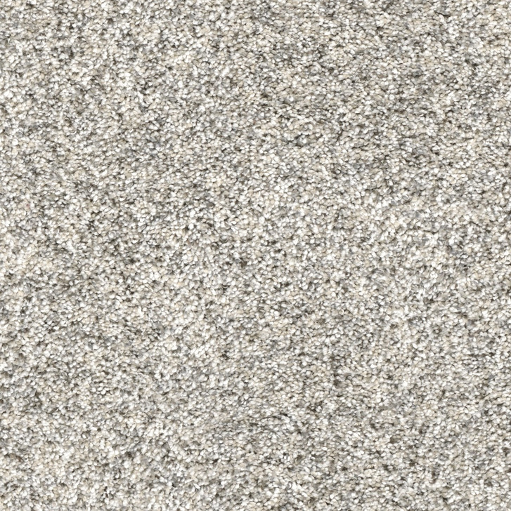 Plush Carpet flooring sample